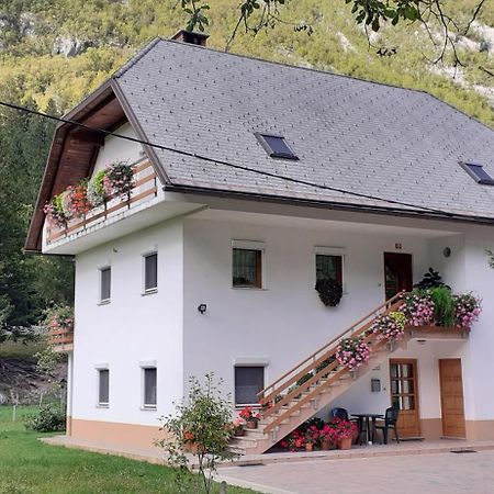 Apartma Pod Rozem Soča المظهر الخارجي الصورة