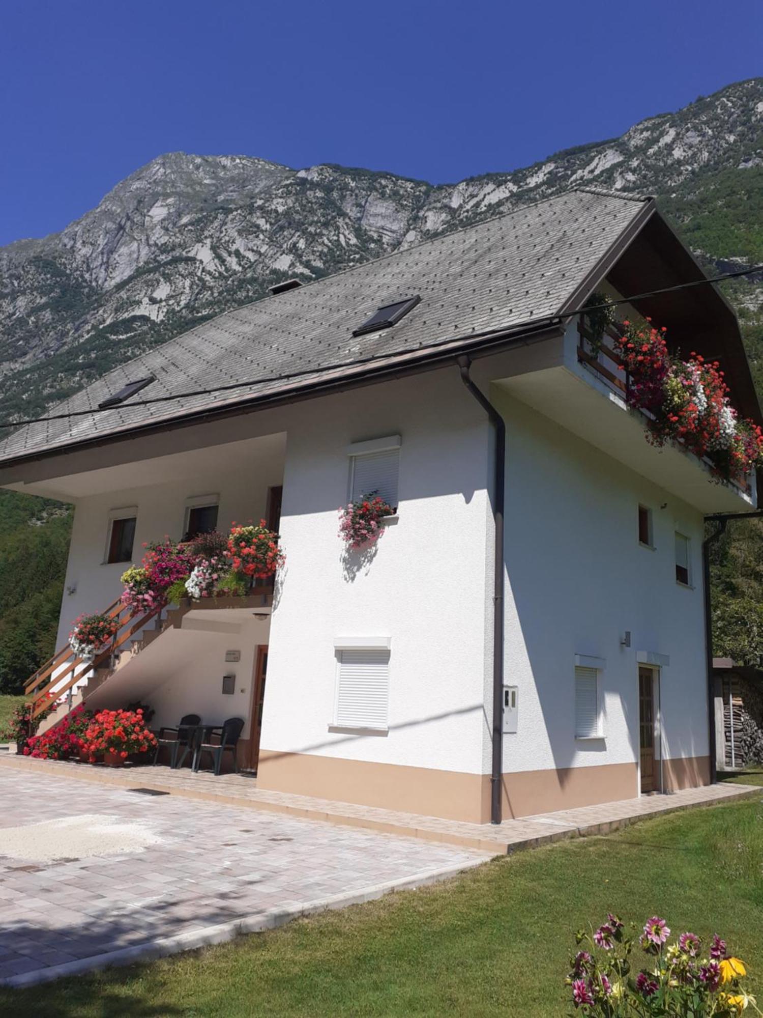 Apartma Pod Rozem Soča المظهر الخارجي الصورة