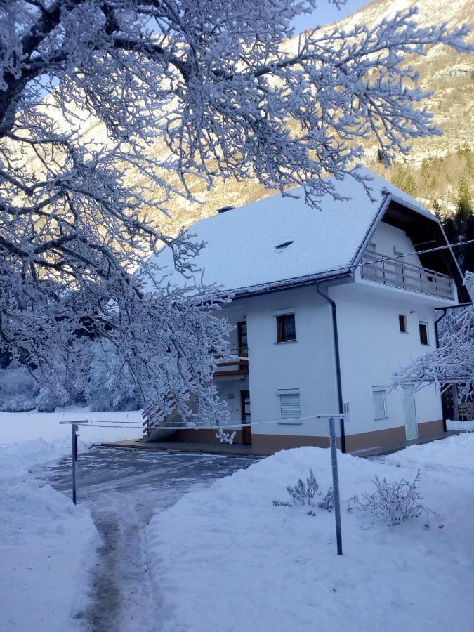 Apartma Pod Rozem Soča المظهر الخارجي الصورة
