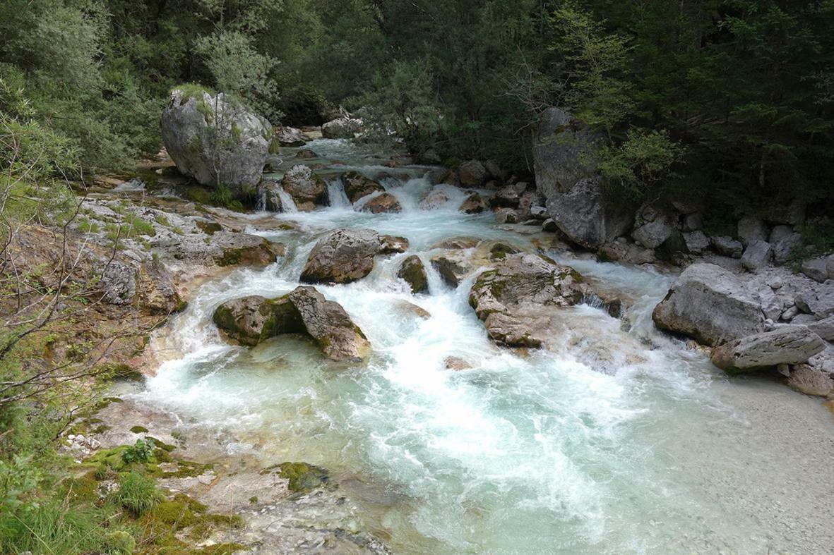 Apartma Pod Rozem Soča المظهر الخارجي الصورة